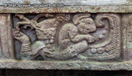 /dateien/uf9353,1237655410,hn04-203 Honduras Stone carving at Copan Mayan ruins